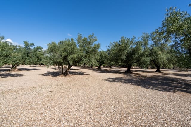 Finca/Herregård til salgs i Ulldecona - € 21 000 (Ref: 9322668)