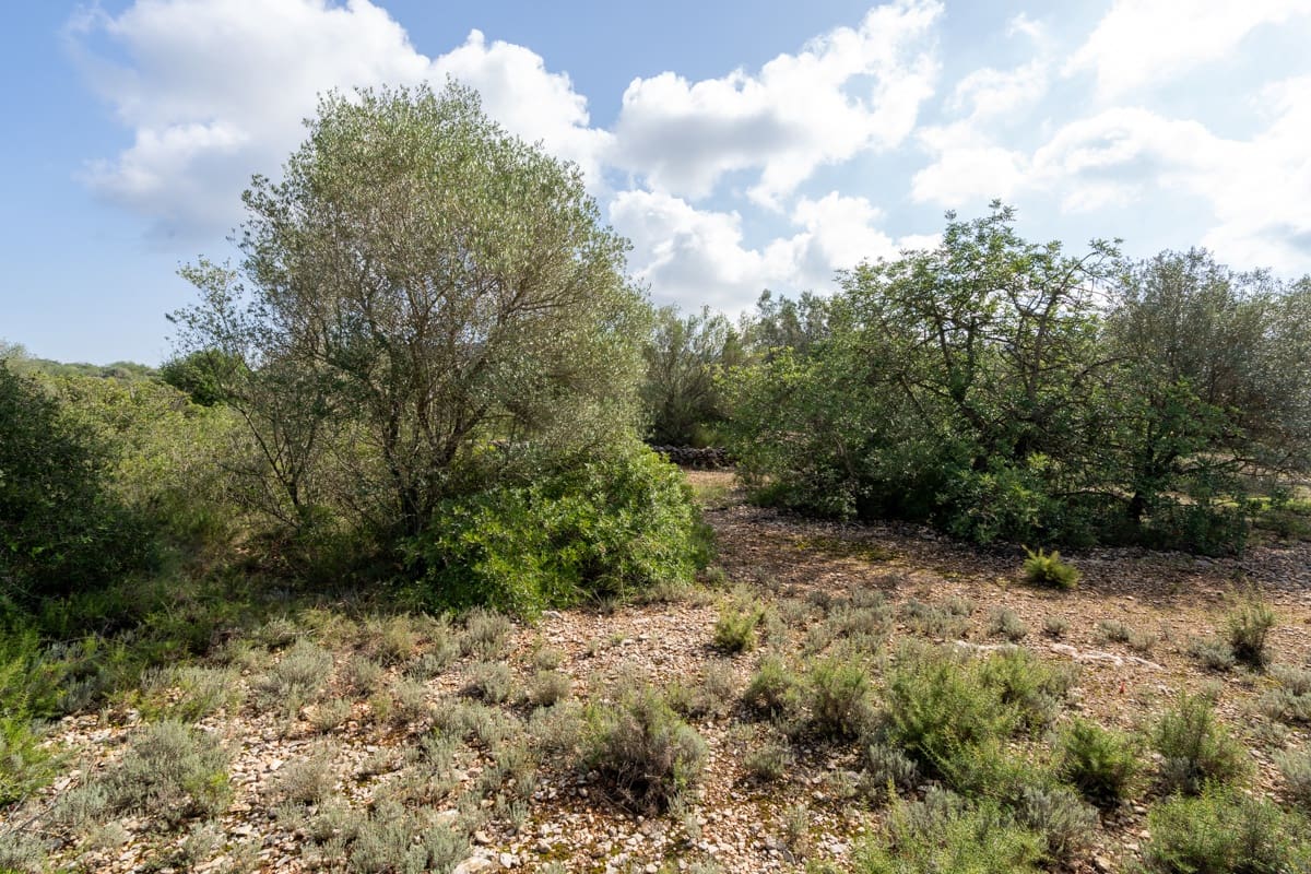 Finca/Casa di Campagna in vendita in Godall - 5.000 € (Rif: 9322737)