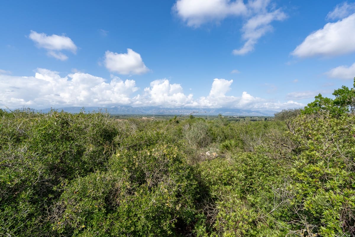 Finca/Casa di Campagna in vendita in Godall - 5.000 € (Rif: 9322737)