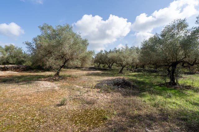 Finca/Casa di Campagna in vendita in Godall - 5.000 € (Rif: 9322737)