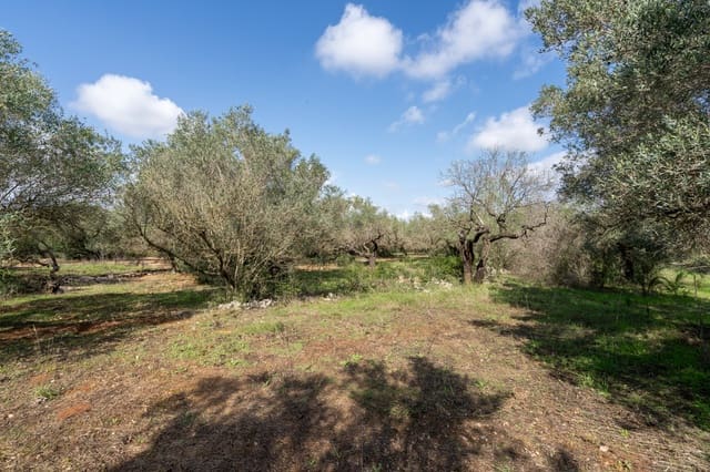 Finca/Casa di Campagna in vendita in Godall - 5.000 € (Rif: 9322737)