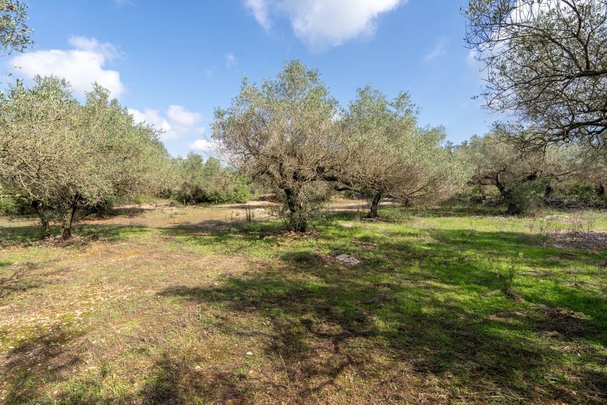 Finca/Casa di Campagna in vendita in Godall - 5.000 € (Rif: 9322737)