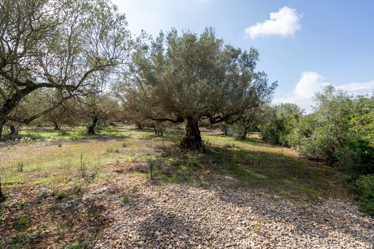 Finca/Casa di Campagna in vendita in Godall - 5.000 € (Rif: 9322737)