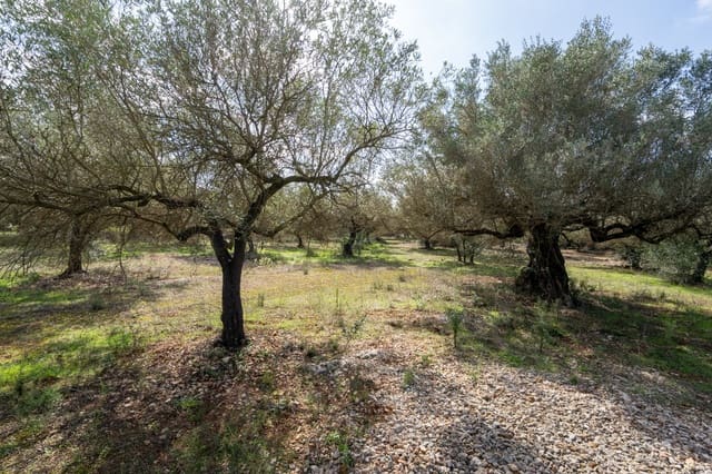 Finca/Casa di Campagna in vendita in Godall - 5.000 € (Rif: 9322737)