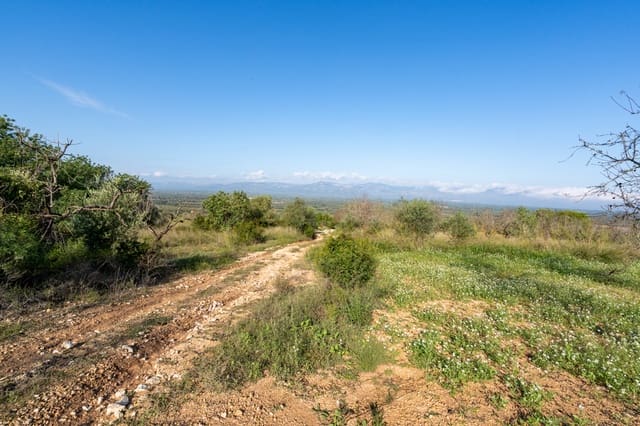 Finca/Casa di Campagna in vendita in Godall - 16.000 € (Rif: 9322786)