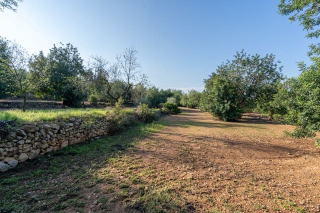 Finca/Casa di Campagna in vendita in Godall - 16.000 € (Rif: 9322786)