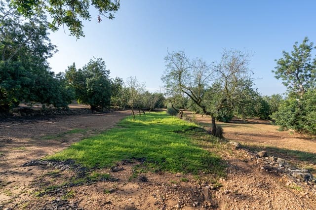 Finca/Casa di Campagna in vendita in Godall - 16.000 € (Rif: 9322786)