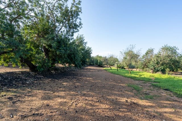 Finca/Casa di Campagna in vendita in Godall - 16.000 € (Rif: 9322786)