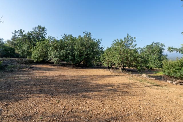 Finca/Casa di Campagna in vendita in Godall - 16.000 € (Rif: 9322786)