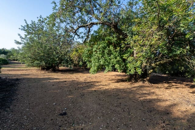 Finca/Casa di Campagna in vendita in Godall - 16.000 € (Rif: 9322786)