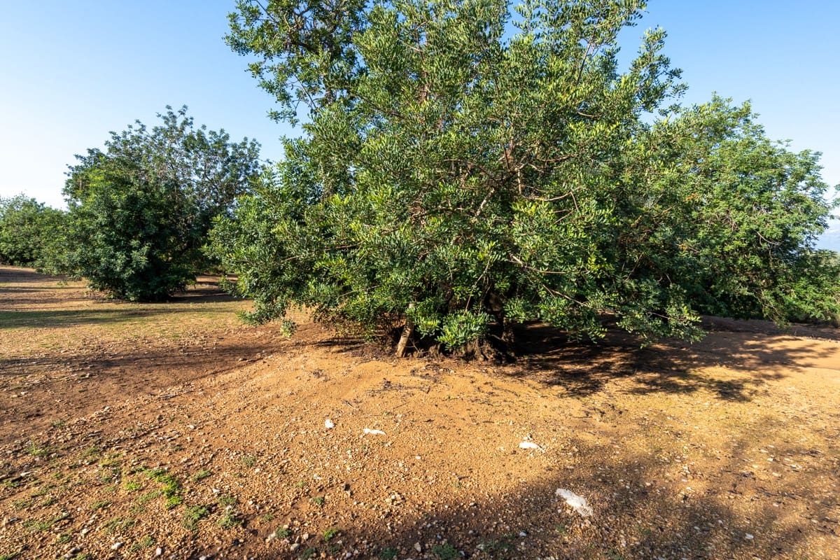 Finca/Herregård til salgs i Godall - € 16 000 (Ref: 9322786)