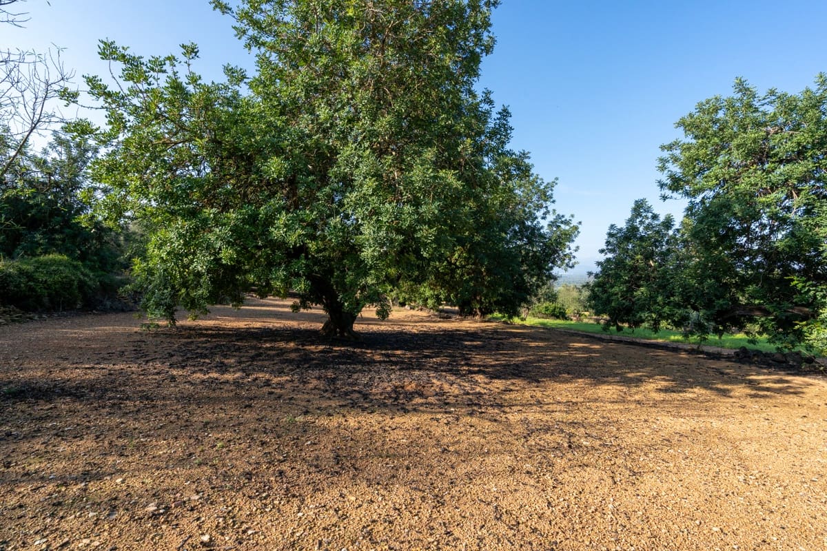 Finca/Herregård til salgs i Godall - € 16 000 (Ref: 9322786)