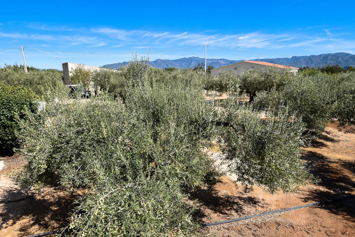 1 bedroom Finca/Country House for sale in Aldover with pool - € 210,000 (Ref: 9325846)