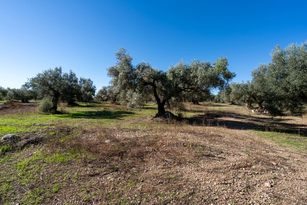 Finca/Landgut zu verkaufen in La Galera - 14.000 € (Ref: 9345048)