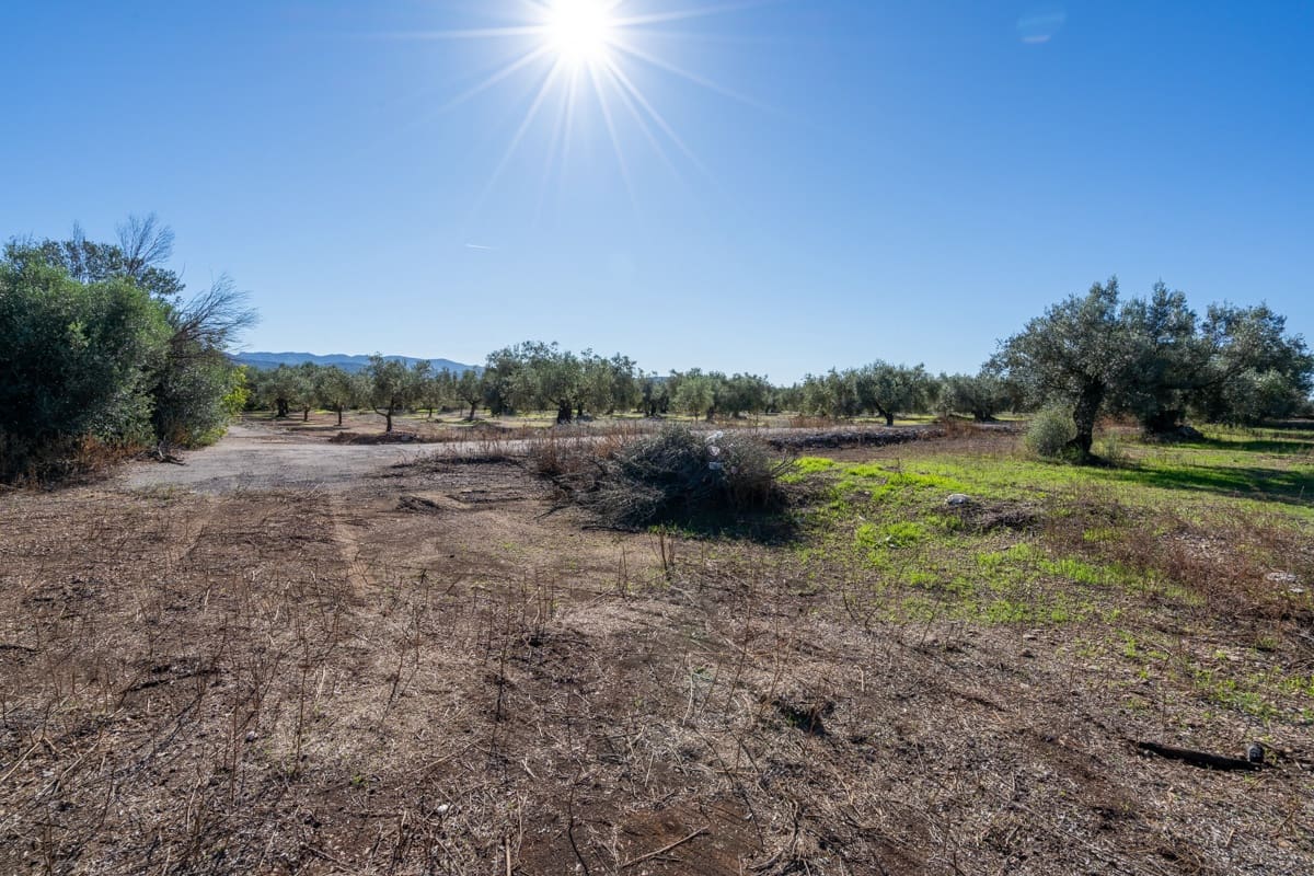Finca/Landgut zu verkaufen in La Galera - 14.000 € (Ref: 9345048)