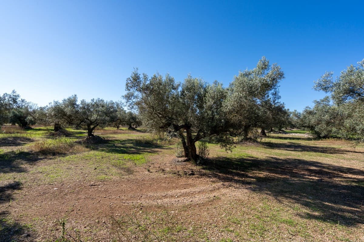 Finca/Landgut zu verkaufen in La Galera - 14.000 € (Ref: 9345048)