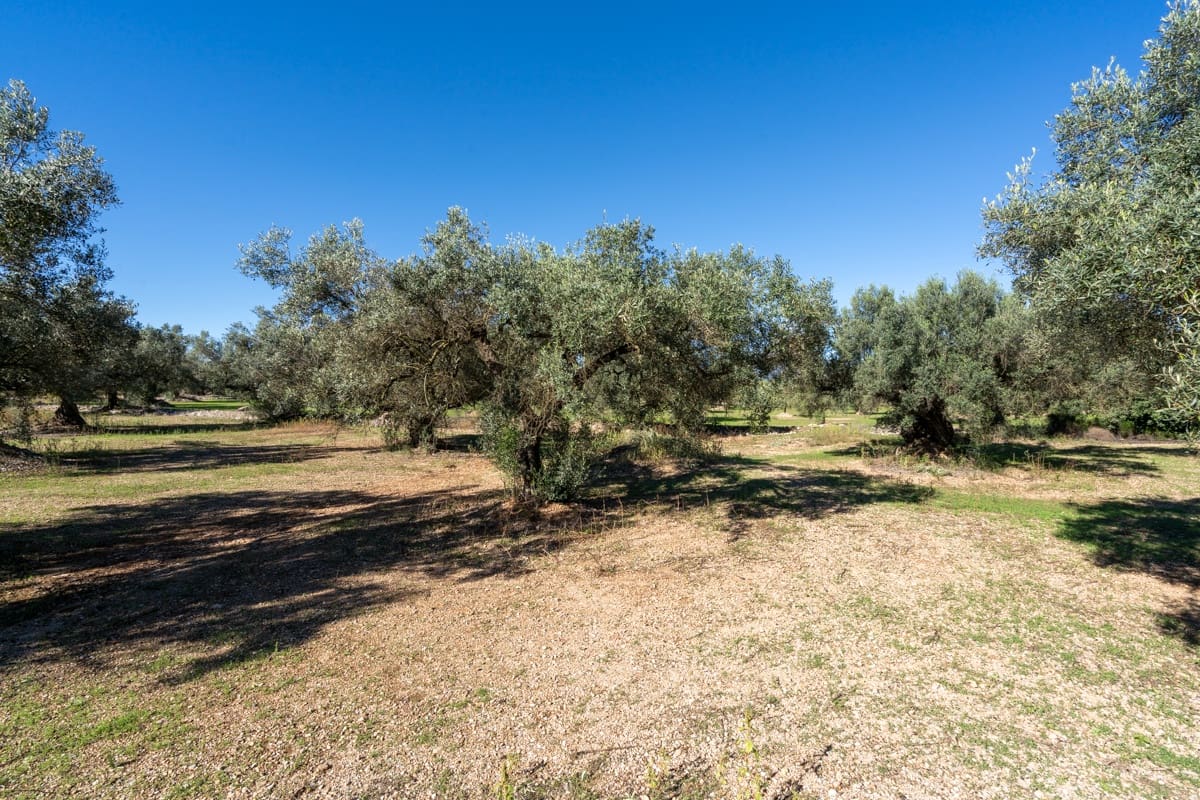 Finca/Landgut zu verkaufen in La Galera - 14.000 € (Ref: 9345048)