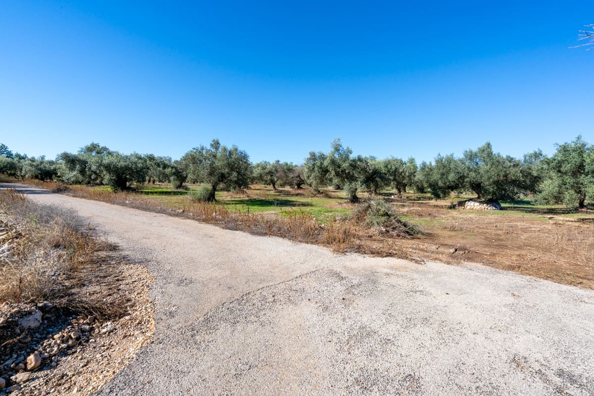 Finca/Landgut zu verkaufen in La Galera - 14.000 € (Ref: 9345048)