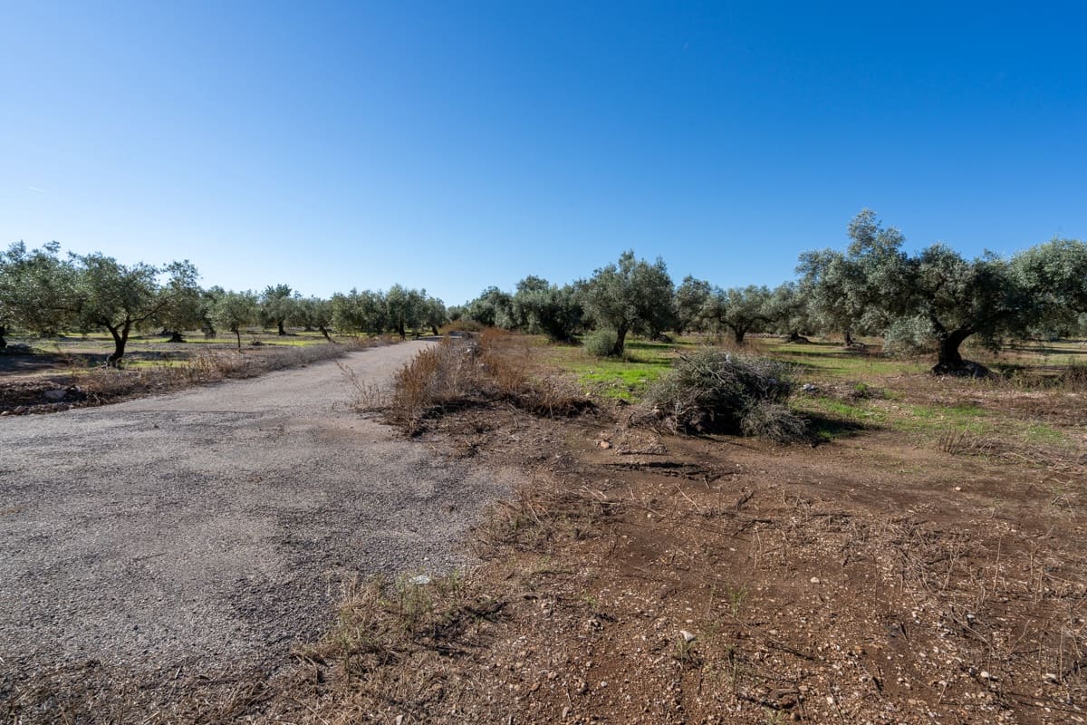 Finca/Landgut zu verkaufen in La Galera - 14.000 € (Ref: 9345048)