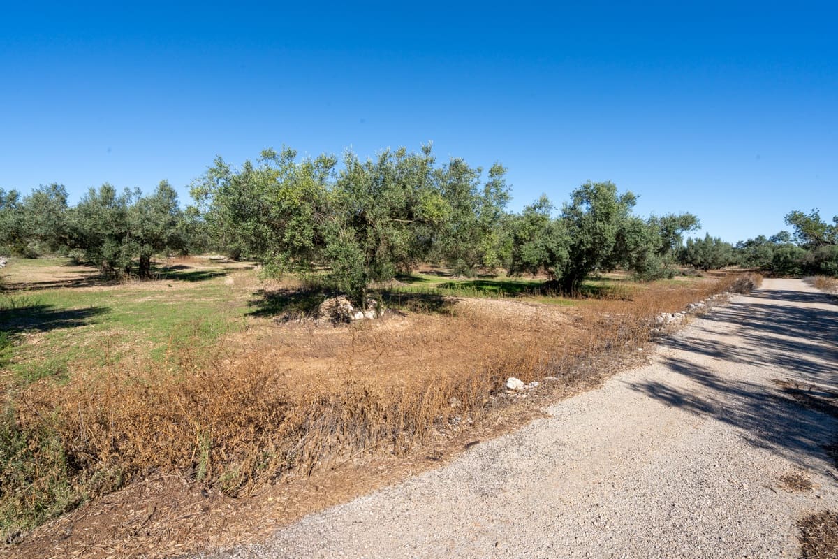 Finca/Landgut zu verkaufen in La Galera - 14.000 € (Ref: 9345048)