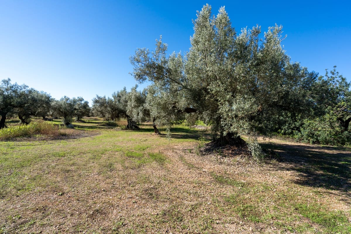 Finca/Landgut zu verkaufen in La Galera - 14.000 € (Ref: 9345048)