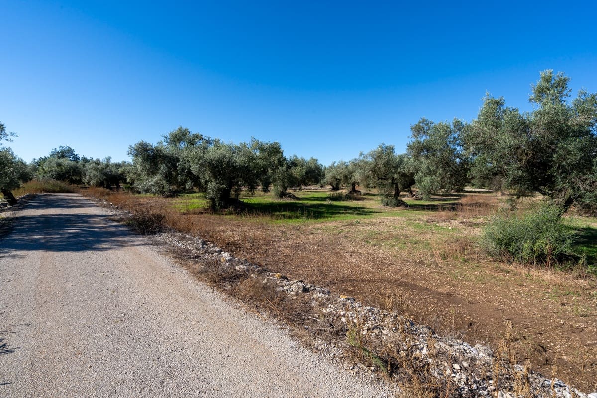 Finca/Landgut zu verkaufen in La Galera - 14.000 € (Ref: 9345048)