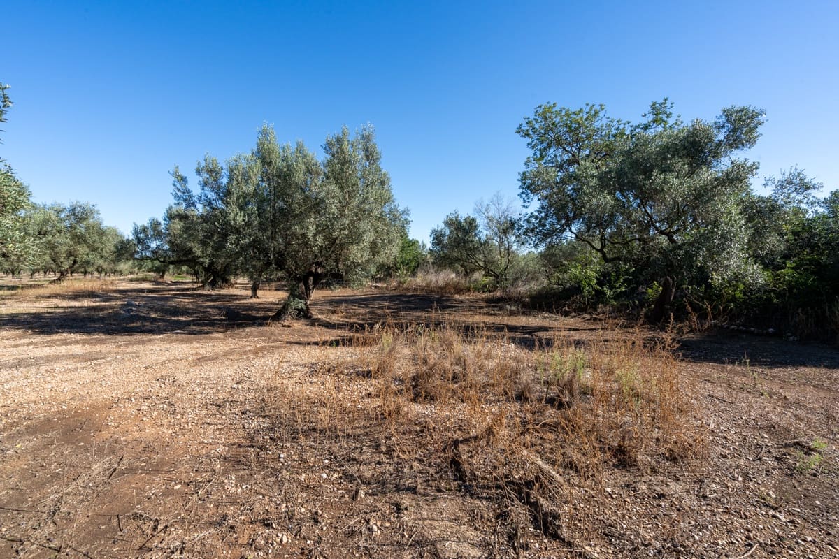 Finca/Landgut zu verkaufen in La Galera - 14.000 € (Ref: 9345048)