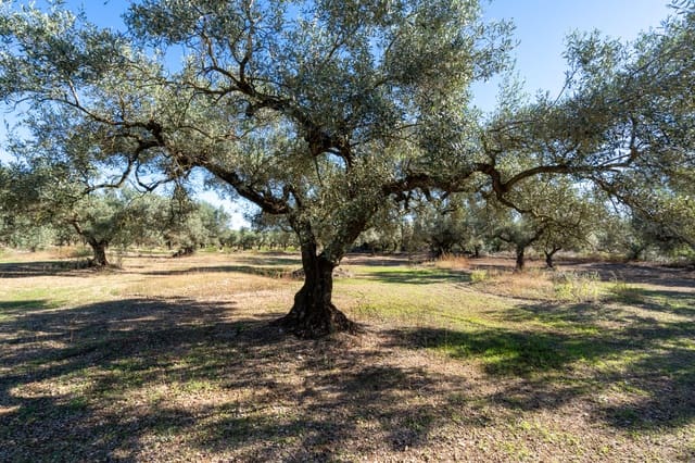 Finca/Country House for sale in La Galera - € 14,000 (Ref: 9345048)