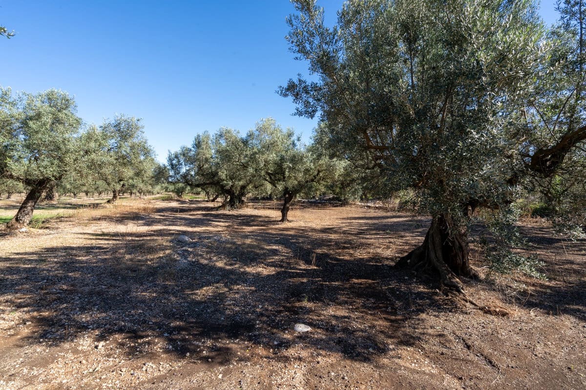 Finca/Landgut zu verkaufen in La Galera - 14.000 € (Ref: 9345048)