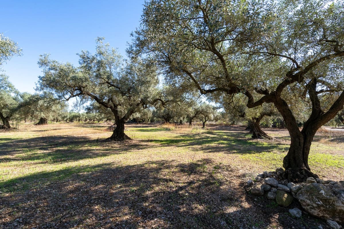 Finca/Landgut zu verkaufen in La Galera - 14.000 € (Ref: 9345048)