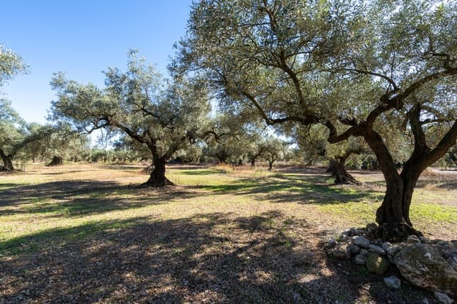 Finca/Casa di Campagna in vendita in La Galera - 14.000 € (Rif: 9345048)