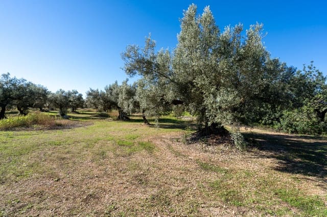 Finca/Casa di Campagna in vendita in La Galera - 14.000 € (Rif: 9345048)