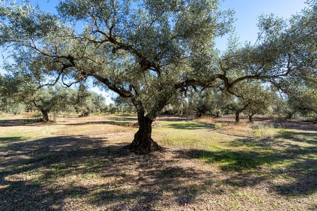 Finca/Casa di Campagna in vendita in La Galera - 14.000 € (Rif: 9345048)