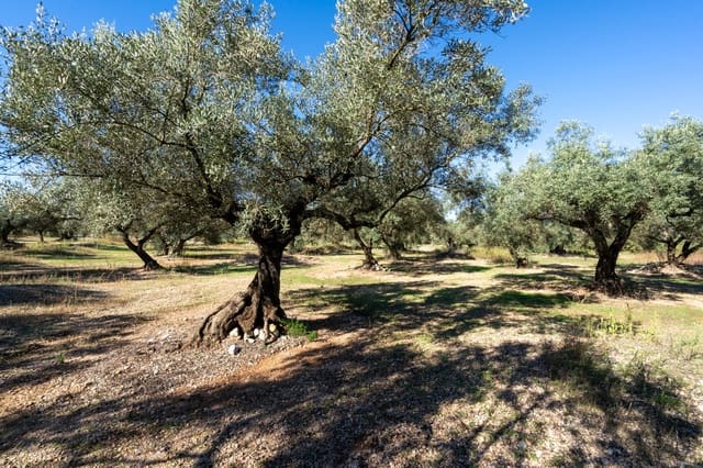 Finca/Casa di Campagna in vendita in La Galera - 14.000 € (Rif: 9345048)