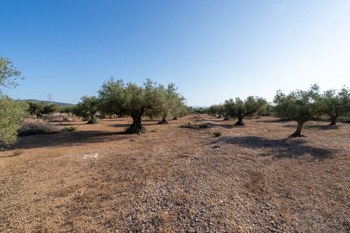 Finca/Landehus til salg i L'Ampolla - € 100.000 (Ref: 9352155)