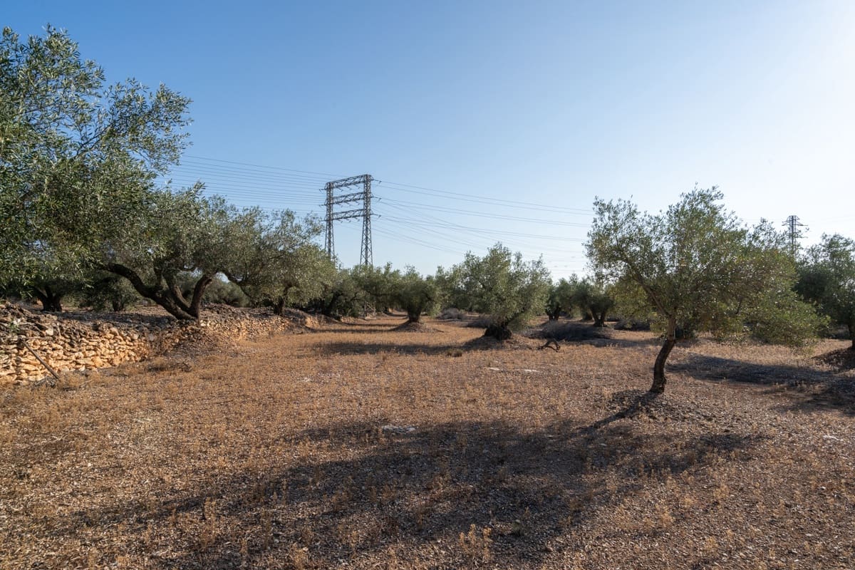 Finca/Landehus til salg i L'Ampolla - € 100.000 (Ref: 9352155)