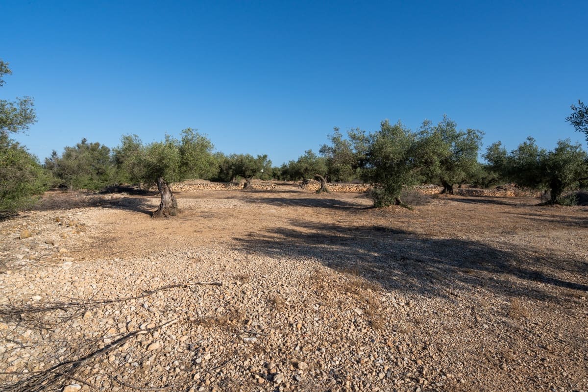 Finca/Landehus til salg i L'Ampolla - € 100.000 (Ref: 9352155)