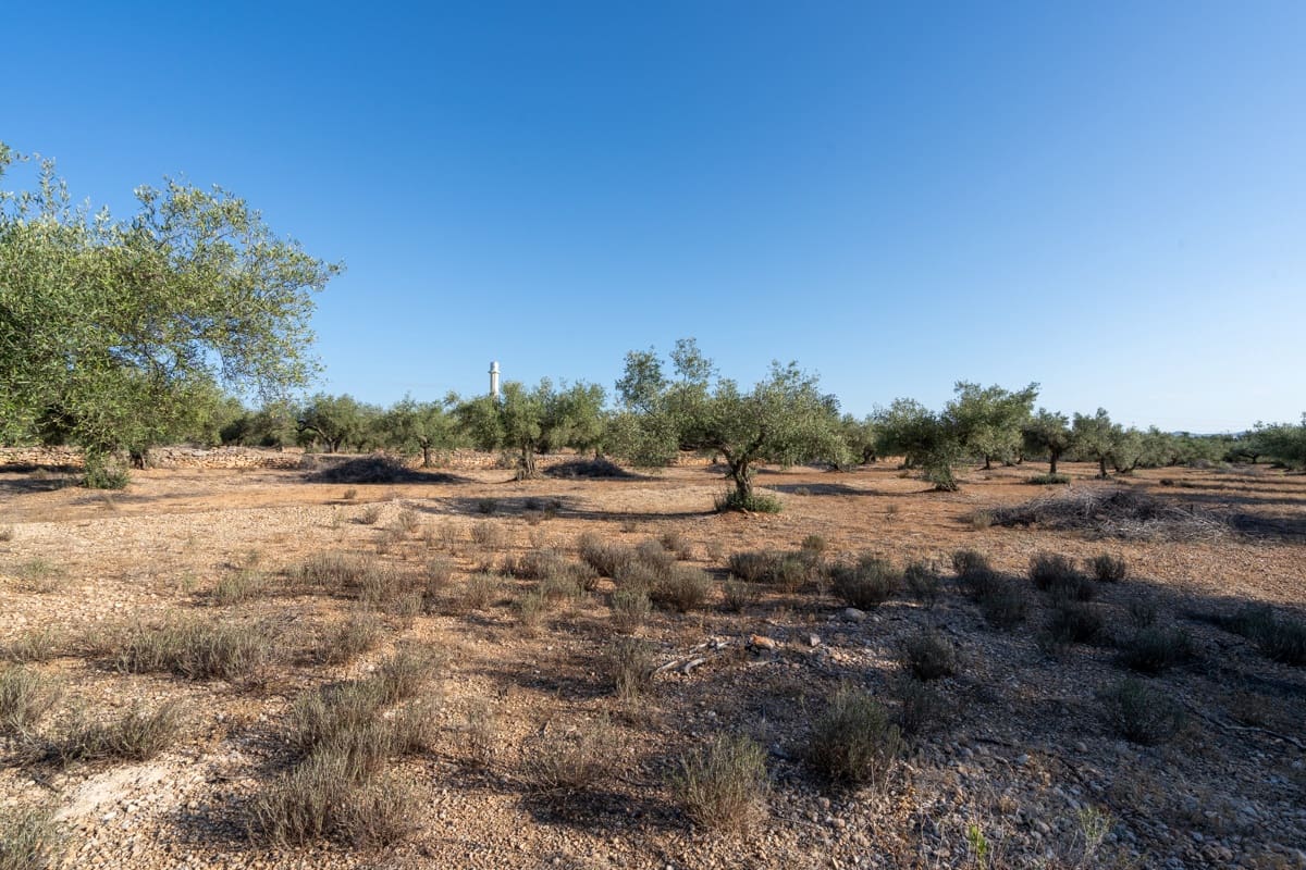 Finca/Landehus til salg i L'Ampolla - € 100.000 (Ref: 9352155)