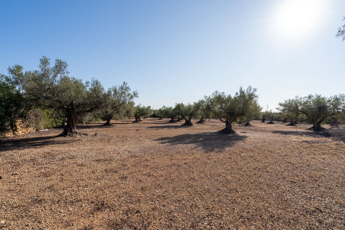 Finca/Landehus til salg i L'Ampolla - € 100.000 (Ref: 9352155)