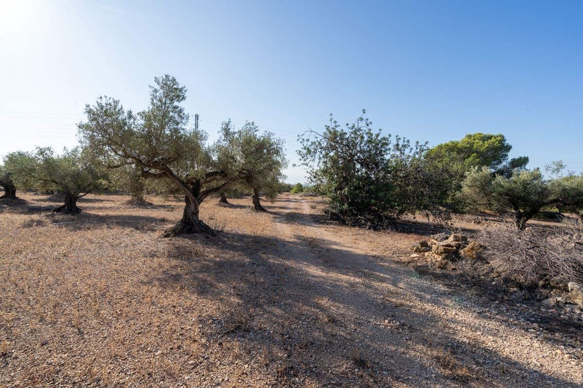 Finca/Landehus til salg i L'Ampolla - € 100.000 (Ref: 9352155)