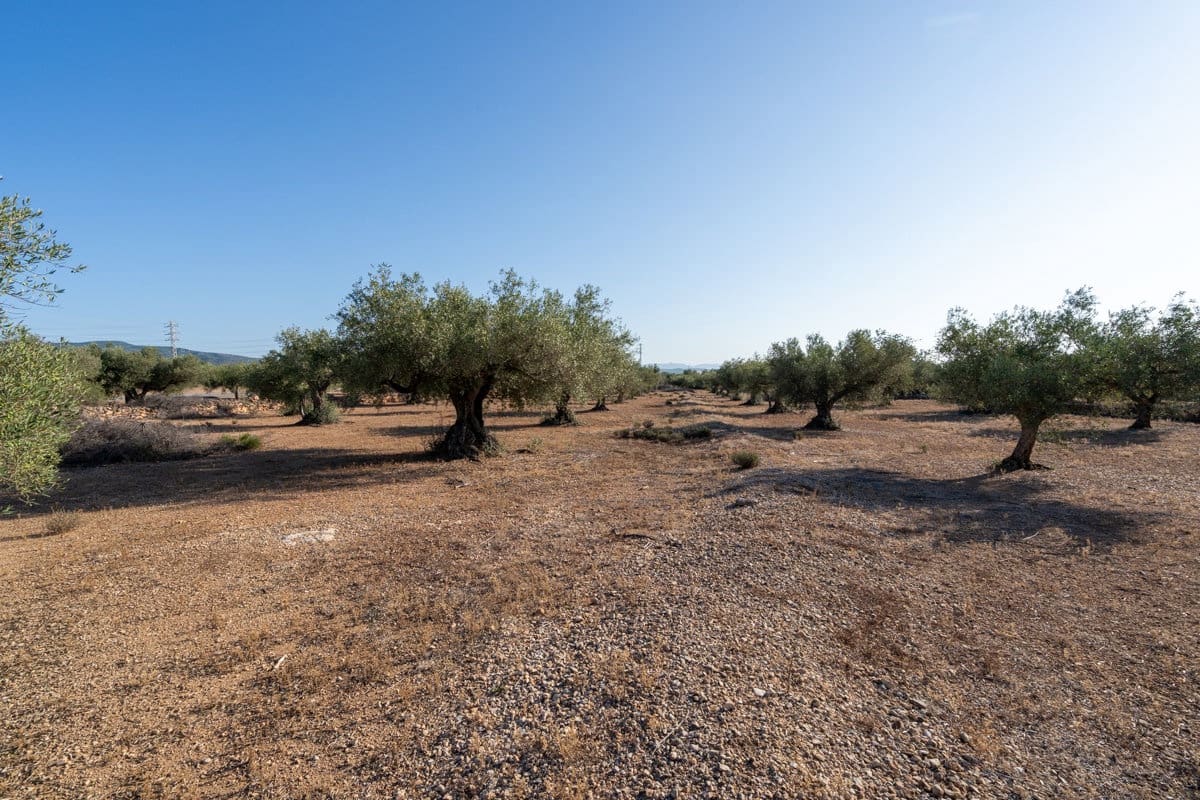 Finca/Country House for sale in L'Ampolla - € 100,000 (Ref: 9352155)