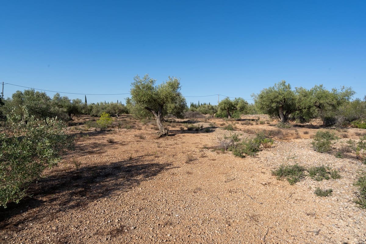 Finca/Country House for sale in L'Ampolla - € 100,000 (Ref: 9352155)