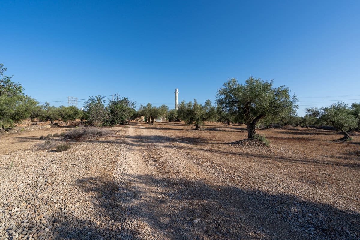 Finca/Country House for sale in L'Ampolla - € 100,000 (Ref: 9352155)