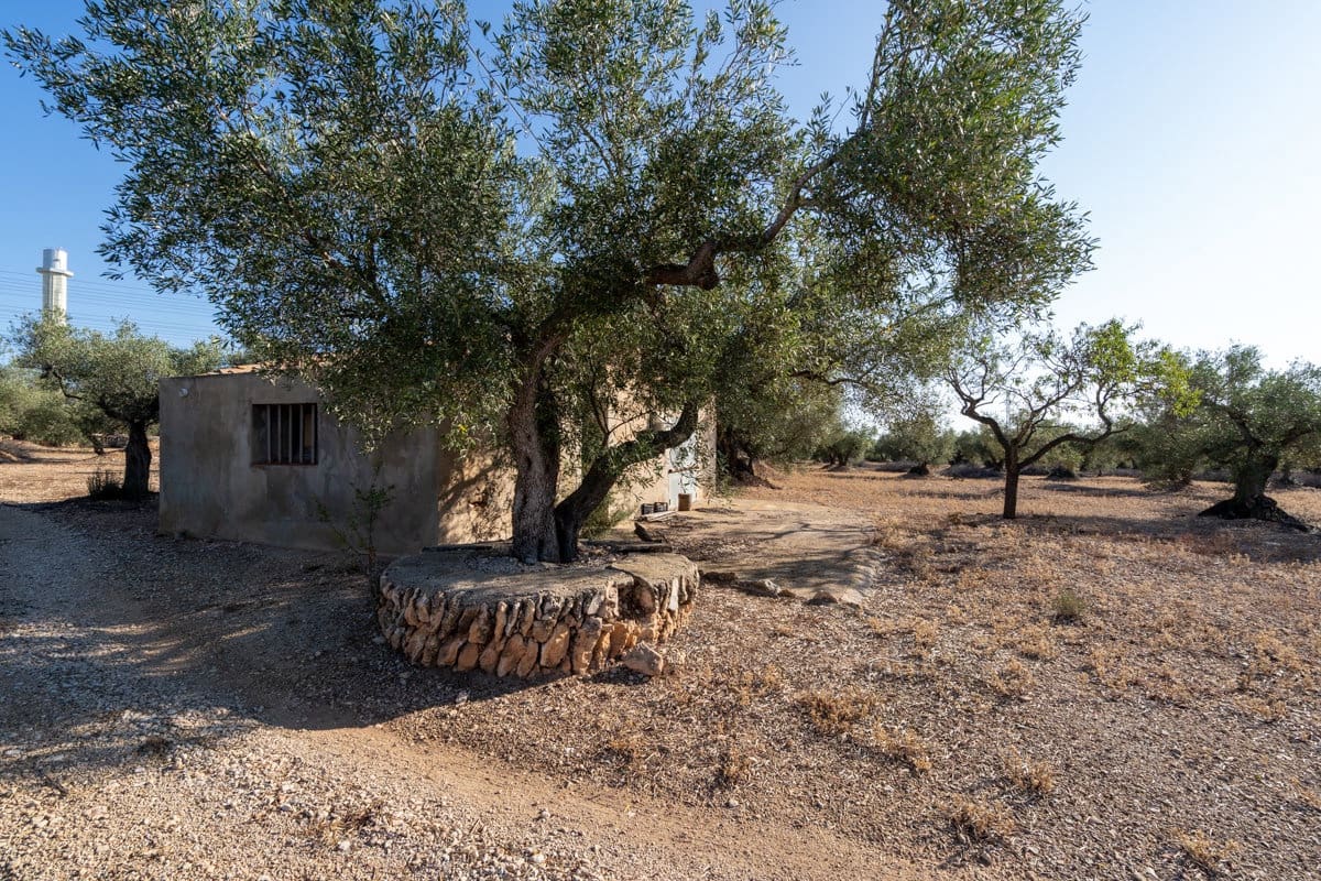 Finca/Country House for sale in L'Ampolla - € 100,000 (Ref: 9352155)