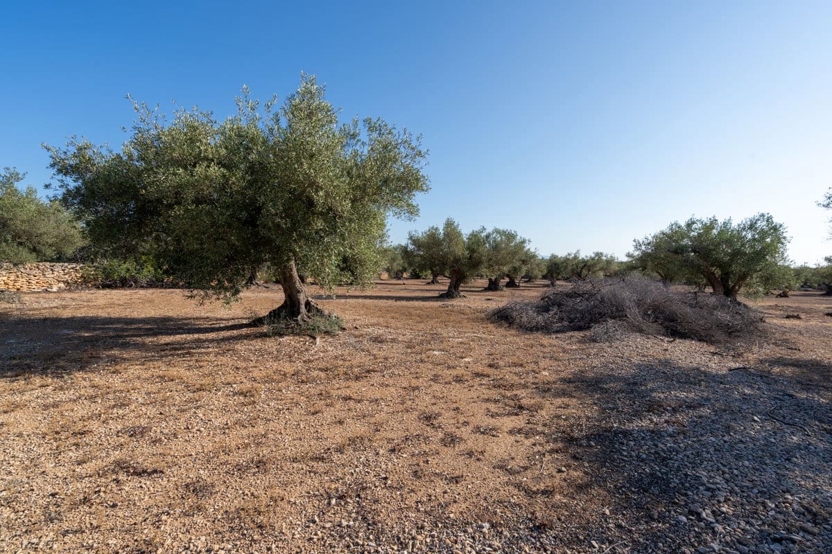 Finca/Country House for sale in L'Ampolla - € 100,000 (Ref: 9352155)