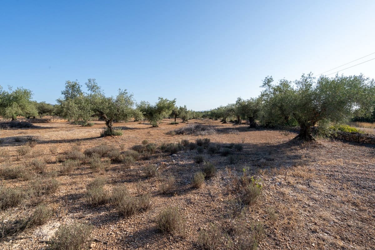 Finca/Country House for sale in L'Ampolla - € 100,000 (Ref: 9352155)