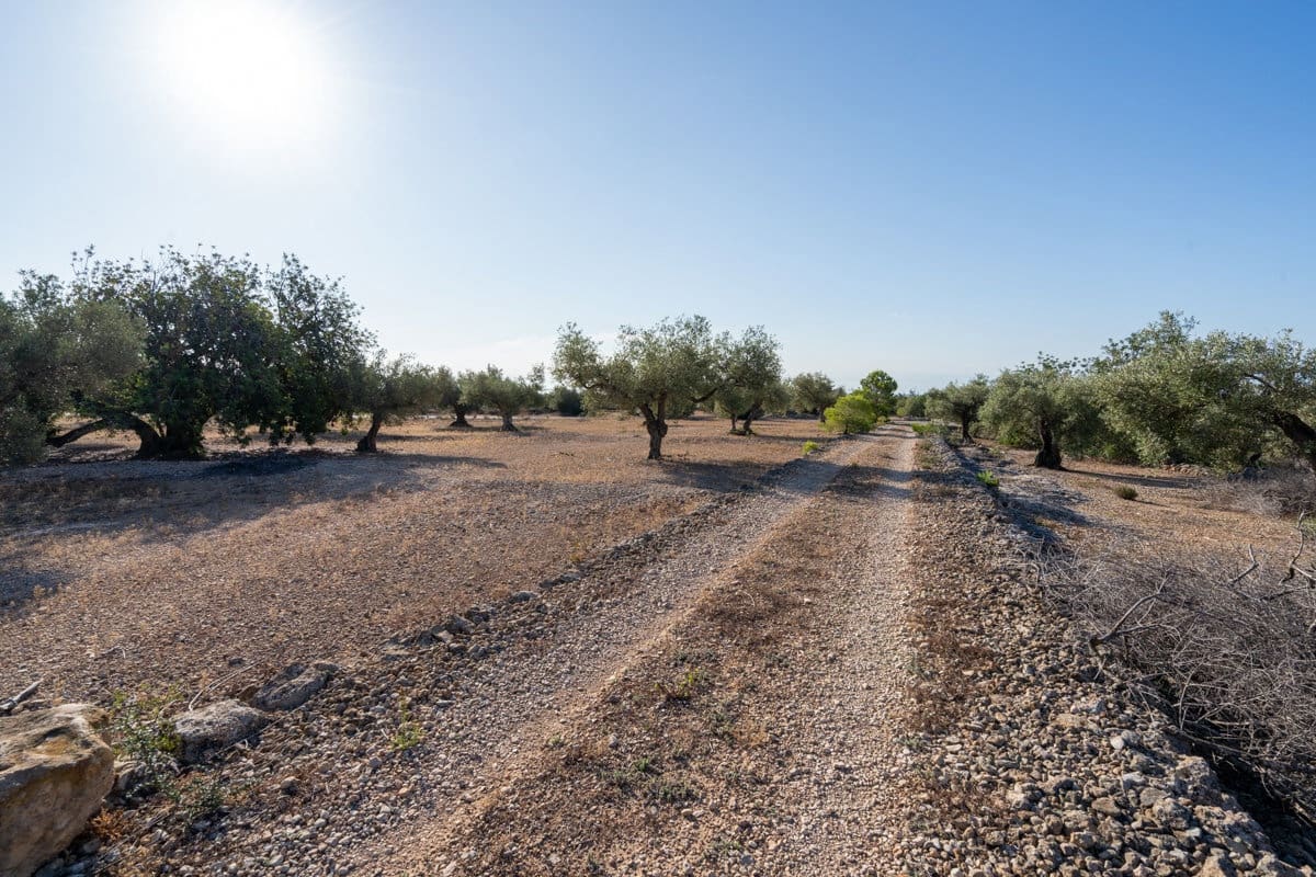 Finca/Country House for sale in L'Ampolla - € 100,000 (Ref: 9352155)