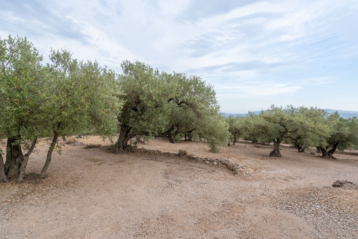 Finca/Herregård til salgs i Mas de Barberans - € 9 000 (Ref: 9352993)