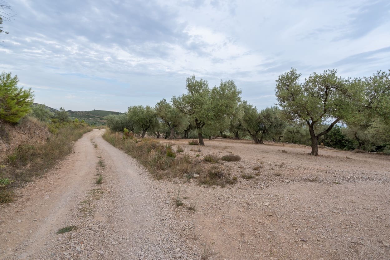 Finca/Herregård til salgs i Mas de Barberans - € 9 000 (Ref: 9352993)