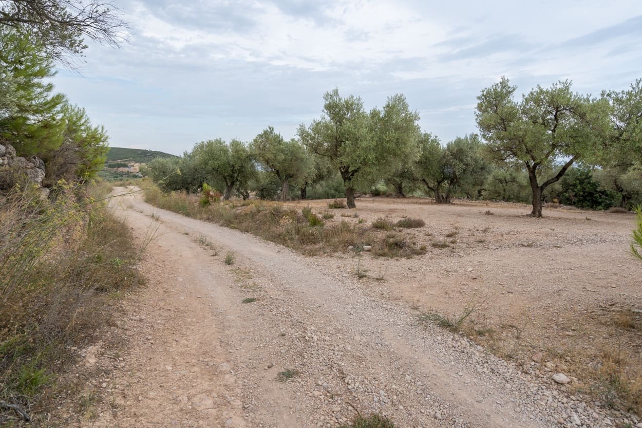 Finca/Herregård til salgs i Mas de Barberans - € 9 000 (Ref: 9352993)